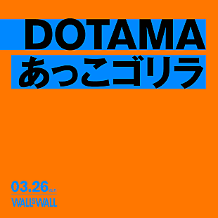 ＤＯＴＡＭＡ「DOTAMA×あっこゴリラのツーマンライブがWALL&amp;WALLにて開催」
