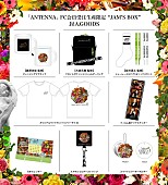 Mrs. GREEN APPLE「	Mrs. GREEN APPLE アルバム『ANTENNA』FC会員受注生産限定 “JAM&amp;#039;S BOX”グッズ」2枚目/3