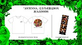 Mrs. GREEN APPLE「	Mrs. GREEN APPLE アルバム『ANTENNA』完全生産限定BOXグッズ」3枚目/3