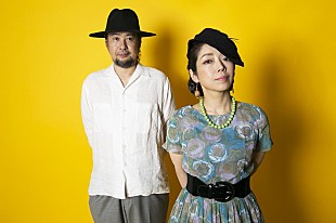 「Ｔ字路s、ドラマ『だが、情熱はある』の音楽を担当」