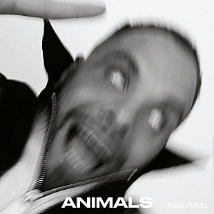 カッサ・オーバーオール「カッサ・オーバーオール、ニュー・アルバム『ANIMALS』5/26リリース＆新曲「Make My Way Back Home」公開」