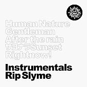 ＲＩＰ　ＳＬＹＭＥ「」2枚目/2