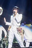 蒼井翔太「蒼井翔太、ライブ映像作品『蒼井翔太 LIVE 2023 WONDER lab. Garden』リリース決定」1枚目/2