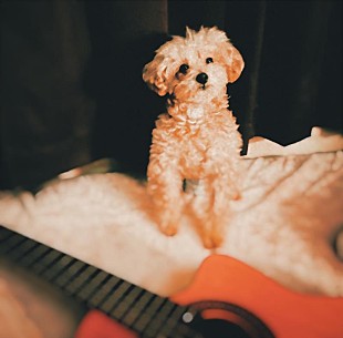 「みゆな、会場限定販売ALから「my life (Sing for you ver.)」配信リリース発表」