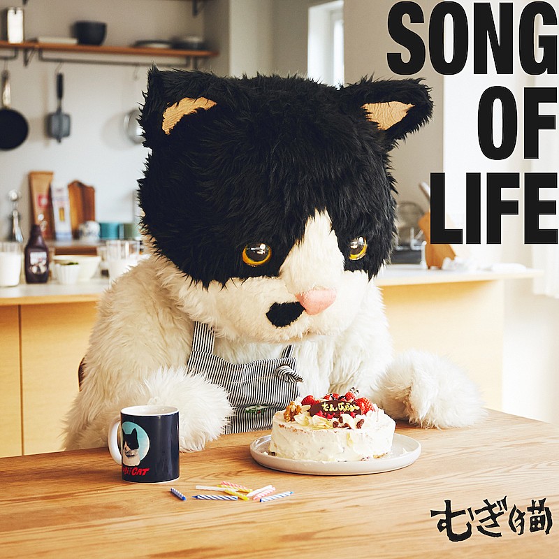 むぎ（猫）「むぎ(猫)、AL表題曲「song of life」先行配信リリース決定」1枚目/2