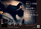 TK from 凛として時雨「TK（凛として時雨）エッセイ『ゆれる』ポスター」2枚目/2