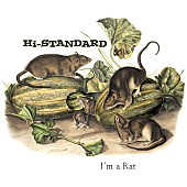 Hi-STANDARD「Hi-STANDARD「I’M A RAT」が、米所属レーベルから7インチ・ピクチャー・ディスクでリリース」1枚目/2