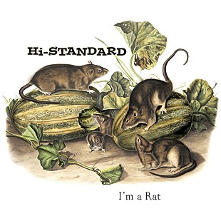 「Hi-STANDARD「I’M A RAT」が、米所属レーベルから7インチ・ピクチャー・ディスクでリリース」