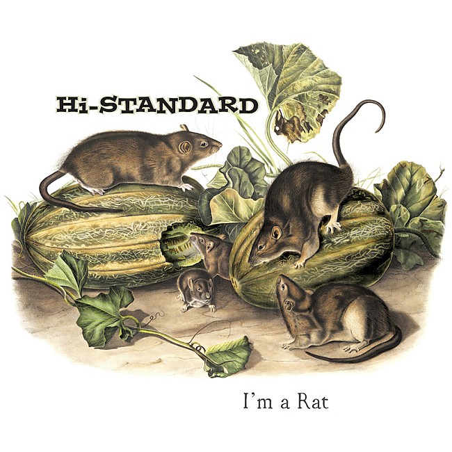 Hi-STANDARD「Hi-STANDARD「I’M A RAT」が、米所属レーベルから7インチ・ピクチャー・ディスクでリリース」1枚目/2