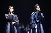 乃木坂46「」14枚目/14