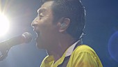 桑田佳祐「桑田佳祐、アコースティックアレンジのKUWATA BAND「BAN BAN BAN」ライブ映像を公開」1枚目/3