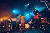 ＴＨＥ　ＣＯＬＬＥＣＴＯＲＳ「THE COLLECTORS、2月のクアトロマンスリーライブ公演の模様を有料配信決定」1枚目/1