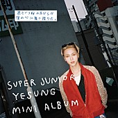 SUPER JUNIOR-YESUNG「イェソン ミニアルバム『君という桜の花びらが僕の心に舞い降りた。』初回生産限定盤A 」2枚目/5