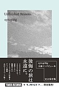 Syrup16g「syrup16g初のインタビュー本『Unfinished Reasons』6月刊行」1枚目/3