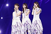 乃木坂46「」14枚目/17