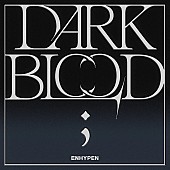 ENHYPEN「【ビルボード】ENHYPEN『DARK BLOOD』、自身初となるDLアルバム首位」1枚目/1