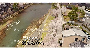 「あたらよ、映画『スパイスより愛を込めて。』主題歌「僕らはそれを愛と呼んだ」リリックビデオ公開」