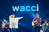 wacci「wacci×asmiが「リバイバル」ライブ初披露、ナオト・インティライミ＆川崎鷹也もwacciライブにゲスト出演へ」1枚目/6