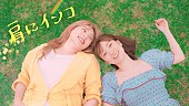 野呂佳代「野呂佳代、大島優子との友情を歌ったデビューSG「肩にインコ」配信決定＆共演MV公開へ」1枚目/2