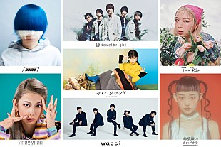 「アイナ／水カン／NAQT VANE／Novelbright／Furui Riho／yama／wacci出演の【TOKYO CHEMISTRY】開催」