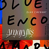 BLUE ENCOUNT「BLUE ENCOUNT 配信シングル「アマリリス」」2枚目/4