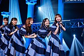 日向坂46「Photo by 上山陽介」10枚目/31