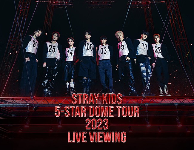 Stray Kids「Stray Kids、日本ドームツアーのライブ・ビューイング実施」1枚目/1