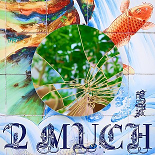 「龍宮城、アヴちゃんトータルプロデュースによる1st EP『2 MUCH』9月リリース」
