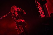 the GazettE「Photo：田辺 佳子」2枚目/7