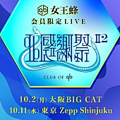 女王蜂「女王蜂、FCクラブ“CLUB OF qb”会員限定ライブ東阪で開催決定」1枚目/2