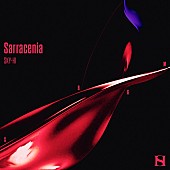 SKY-HI／BE:FIRSTのスプリットシングル『Sarracenia / Salvia』アニメ
