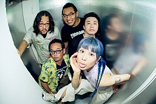 「Limited Express (has gone?)×らーめんHAGGYコラボMV「ラーメンライス」公開」