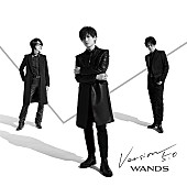 WANDS「アルバム『Version 5.0』＜初回限定盤A＞」2枚目/4