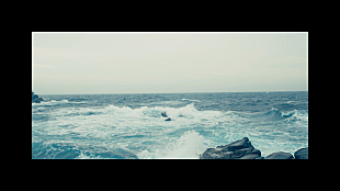 「ドレスコーズ、ニューAL『式日散花』全曲試聴トレーラー＆収録曲「式日」ティザー映像公開」