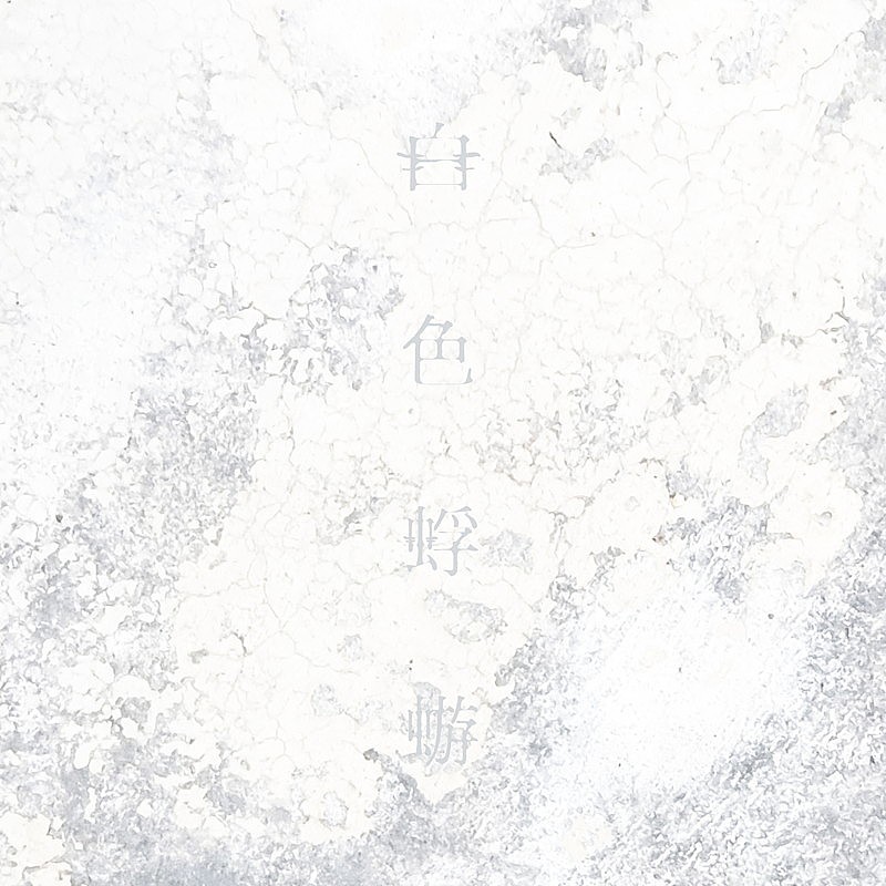 Aimer「Aimer 配信シングル「白色蜉蝣」」2枚目/2