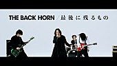 ＴＨＥ　ＢＡＣＫ　ＨＯＲＮ「THE BACK HORN、バンド結成25周年シングル「最後に残るもの」MV公開」1枚目/4