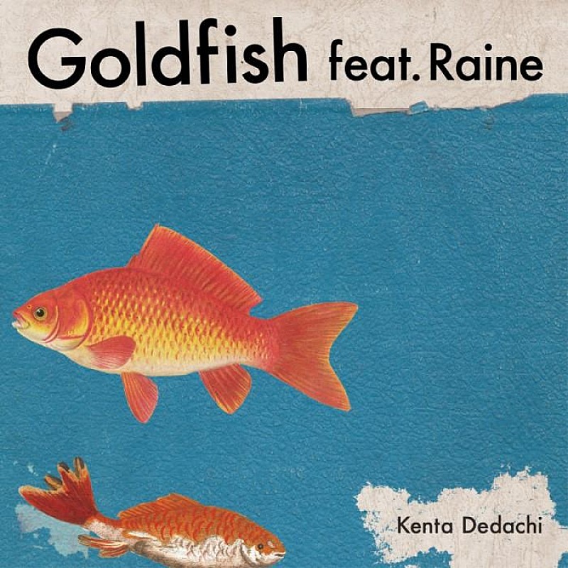 Kenta Dedachi、新曲「Goldfish feat. Raine」デジタルリリース
