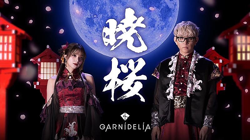 ＧＡＲＮｉＤＥＬｉＡ「GARNiDELiA、スマホゲーム『陰陽師』7周年記念ソング「暁桜」MV公開」1枚目/2