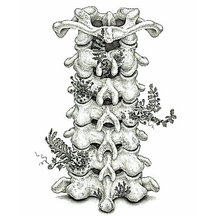 「ヒグチアイ、アニメ『進撃の巨人』The Final Season 完結編（各話版）EDテーマに新曲「いってらっしゃい」書き下ろし」