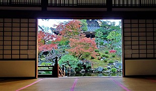 「BS11で「京都を知る。」　11月は紅葉生中継やレギュラ－番組で京都づくしの放送に！」