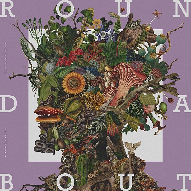 キタニタツヤ「キタニタツヤ アルバム『ROUNDABOUT』初回生産限定盤」2枚目/3