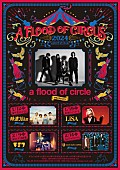 a flood of circle「」2枚目/6