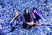 ＭＵＣＣ「MUCC、12月28日にアルバム『Timeless』のリリースとアニバーサリーブックの発売決定」1枚目/3