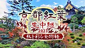 「BS11で「京都紅葉生中継2023 ～秋を彩る食物語～」が29日放送 通常非公開の東本願寺・宮御殿からグルメも生演奏も！」1枚目/1