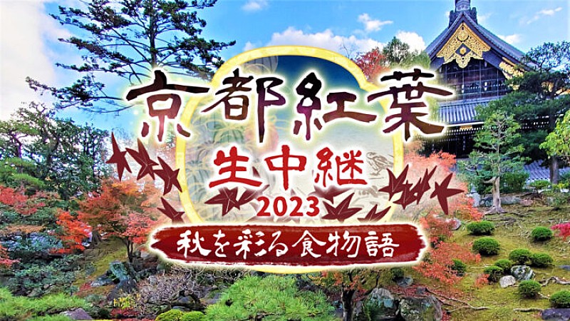 「BS11で「京都紅葉生中継2023 ～秋を彩る食物語～」が29日放送 通常非公開の東本願寺・宮御殿からグルメも生演奏も！」1枚目/1