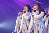 日向坂46「」12枚目/38