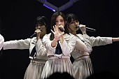 乃木坂46「」11枚目/19