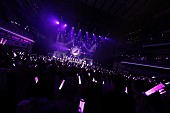 乃木坂46「」14枚目/19