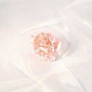 「【Heatseekers Songs】マルシィ「ラブソング」6週連続首位に　はなわ「ニュー咲きほこれ埼玉」がトップ10入り」