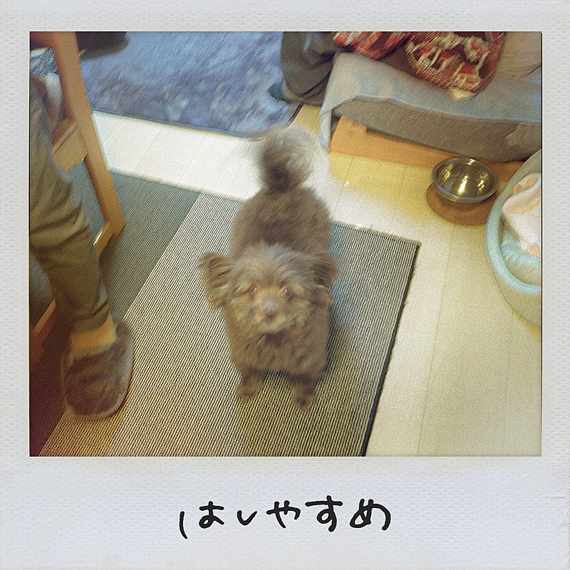 Saucy Dog「Saucy Dog EP『はしやすめ』」2枚目/2
